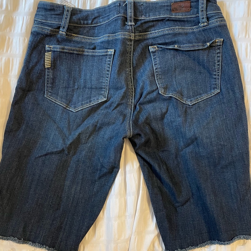 Hudson shorts
